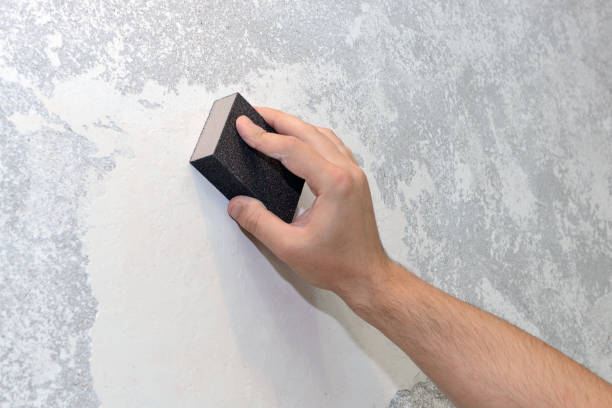 Best Forensic Mold Investigation  in Pleasant Run Farm, OH