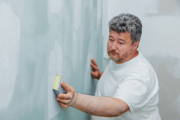 Trusted Pleasant Run Farm, OH Mold Removal Experts