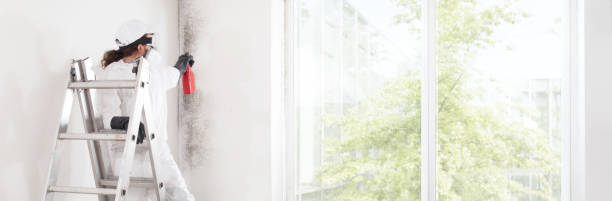 Best HVAC Mold Inspection and Cleaning  in Pleasant Run Farm, OH